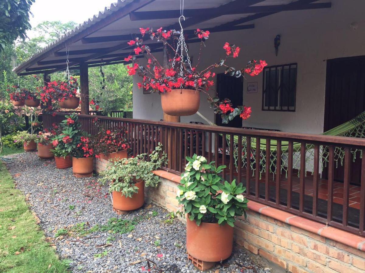 Finca Sol Y Luna San Gil Bagian luar foto